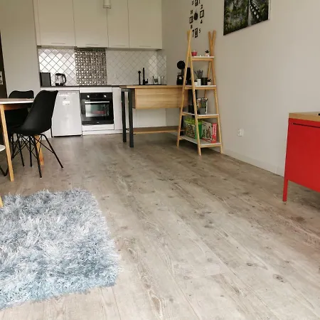 Zaciszny Apartament Nad Jeziorem Apartman Iława